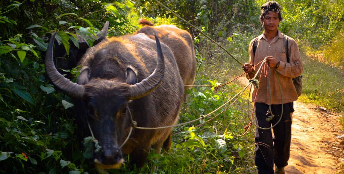 Voyage en Birmanie et Chine, fermier dans la région de Hsipaw