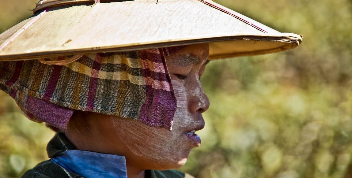 Voyage trek en Birmanie les ethnies de l'état Shan, travail dans les champs