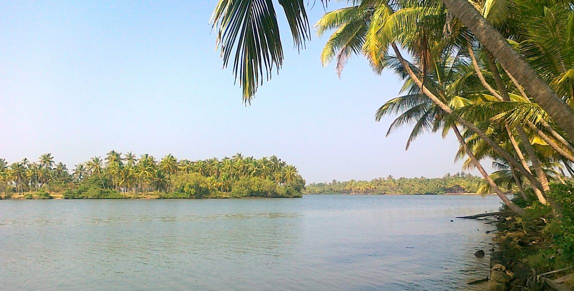 Backwaters bordés de cocotiers près de Kannur, Kerala