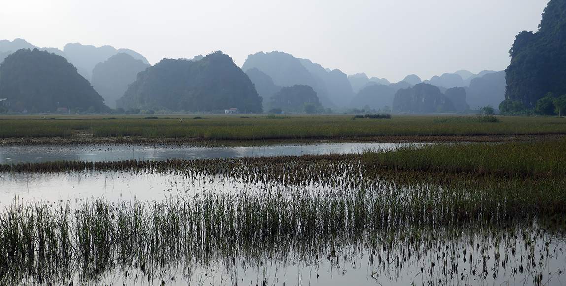 Vue sur les rizières de Tam Coc