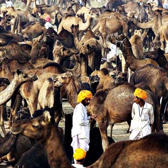 voyage inde benares