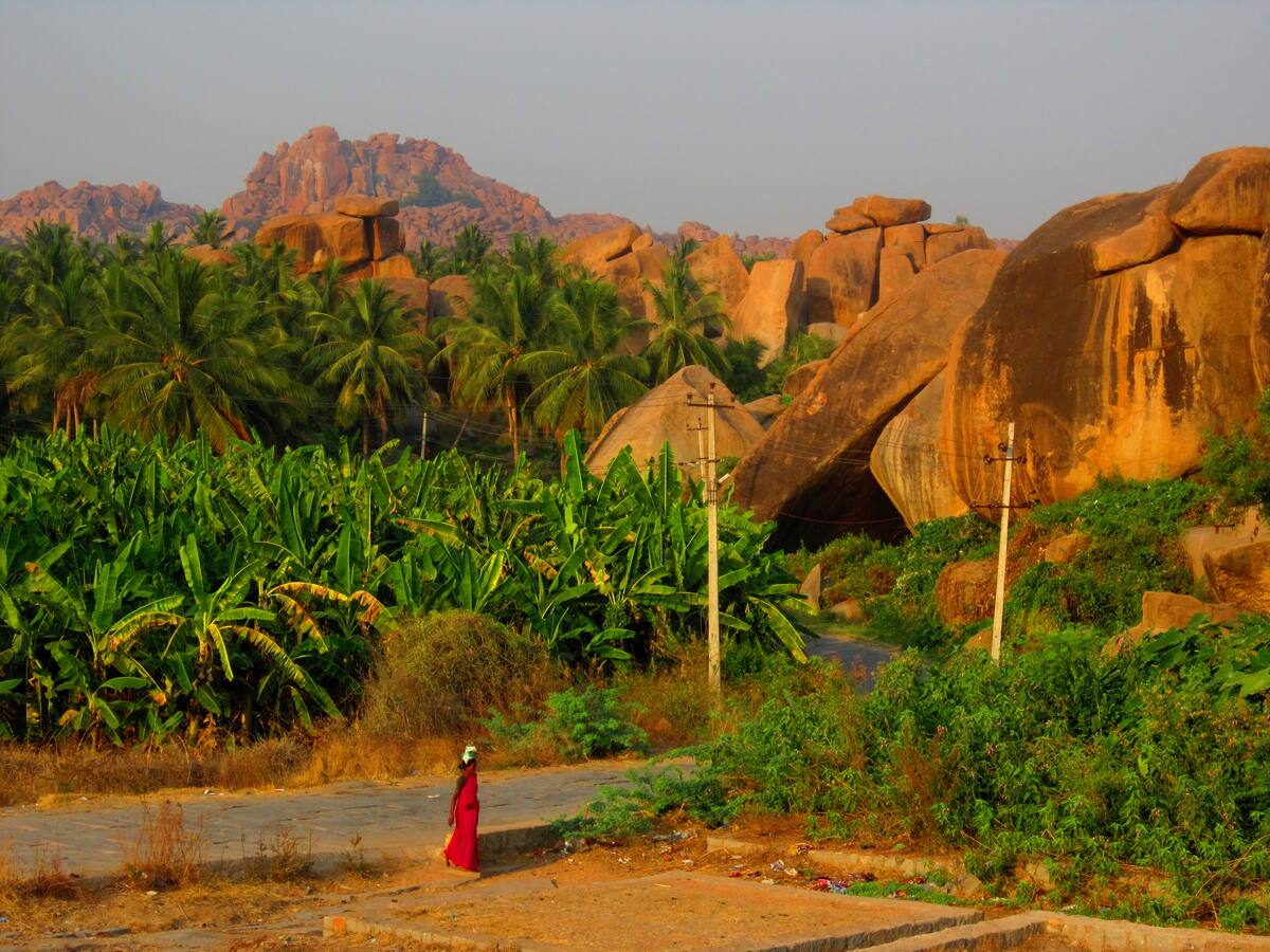 Paysage de rochers et de bananeraies typique de Hampi