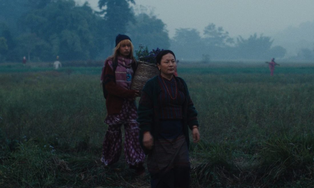 Silhouettes dans la brume des rizières du Teraï, scène du film Les Éléphants dans la brume