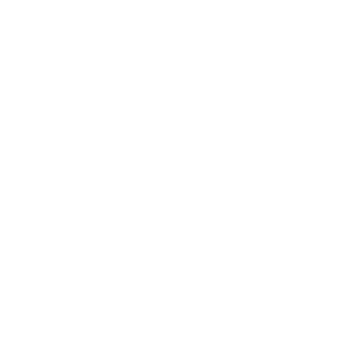 Les Valseurs