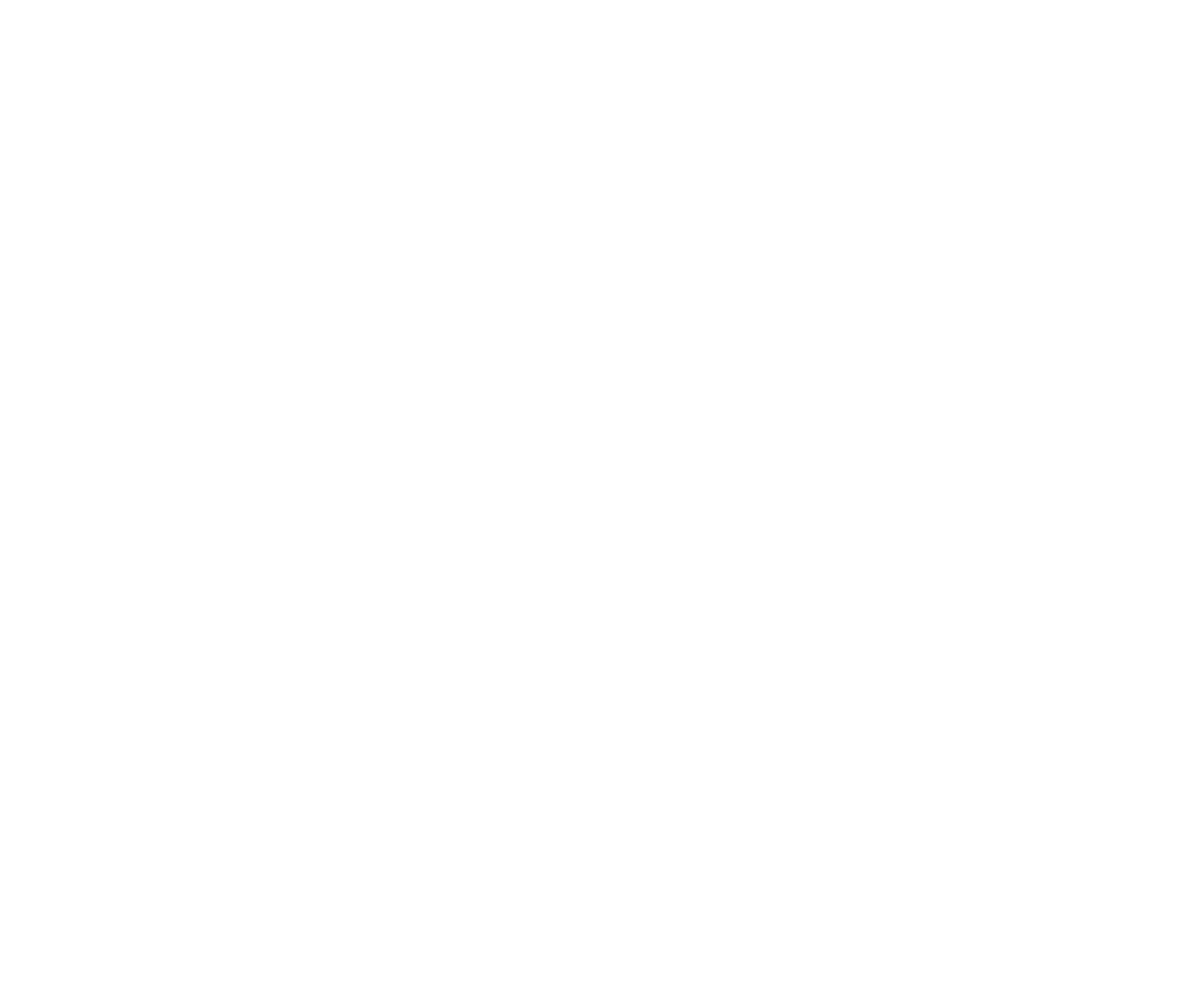 Spot