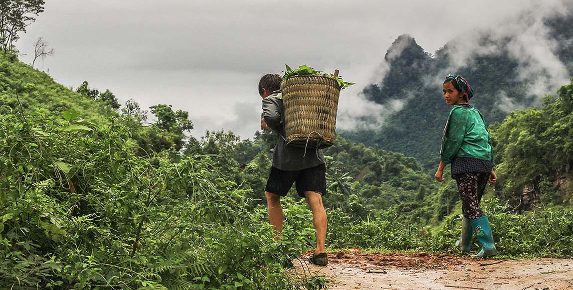 Voyage au nord du Vietnam, région de Meo Vac