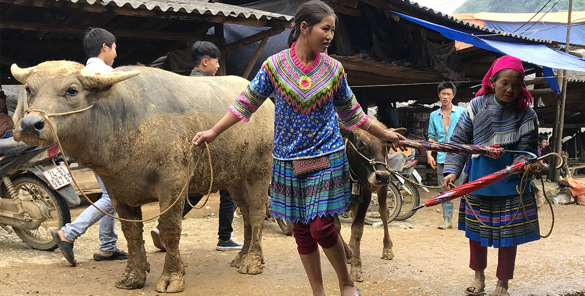 Voyage au nord du Vietnam, le marché de Can Cau