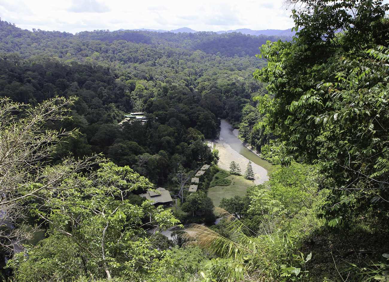 Le Borneo Rainforest Lodge, Danum Valley