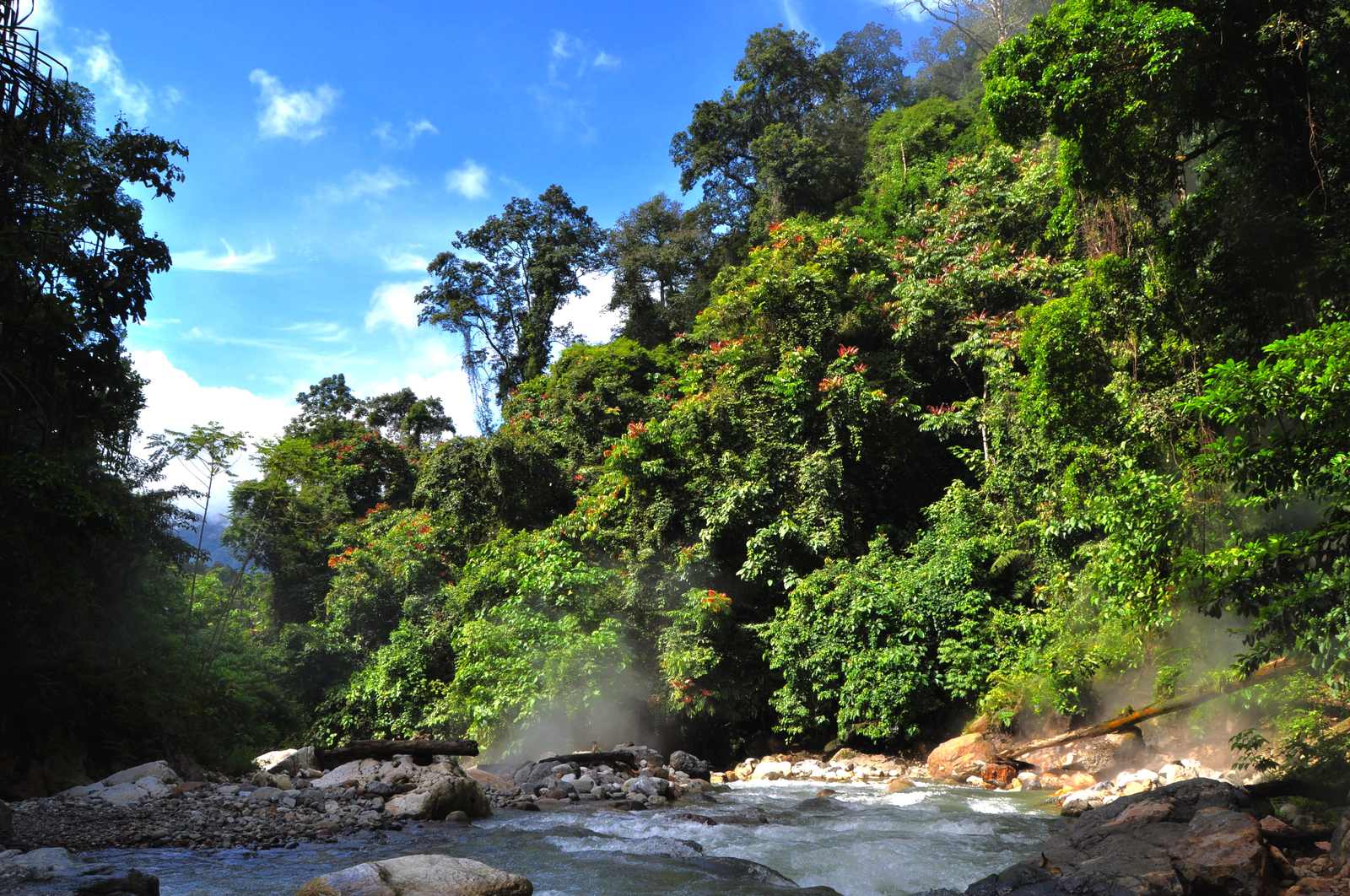 Rivière et forêt tropicale de Ketambe, Sumatra