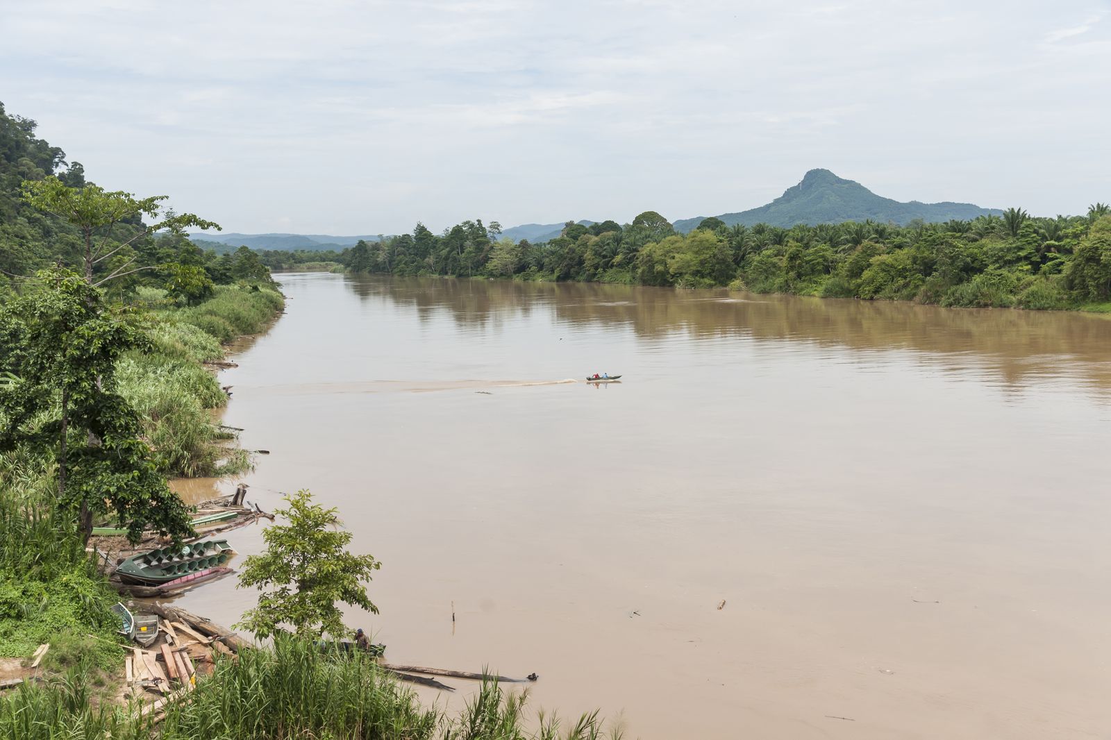 La rivière Kinabatangan, Bornéo