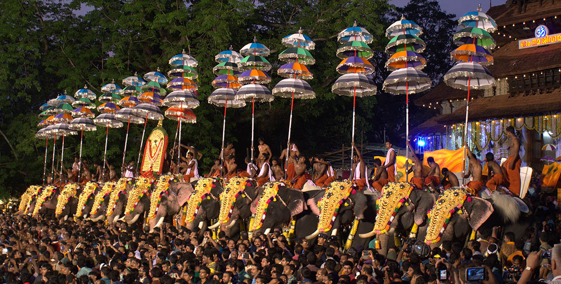 Voyage au Kérala, éléphant à Trichur