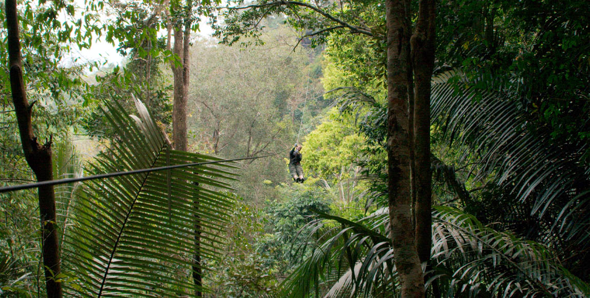 Voyage Laos, La Gibbon Expérience