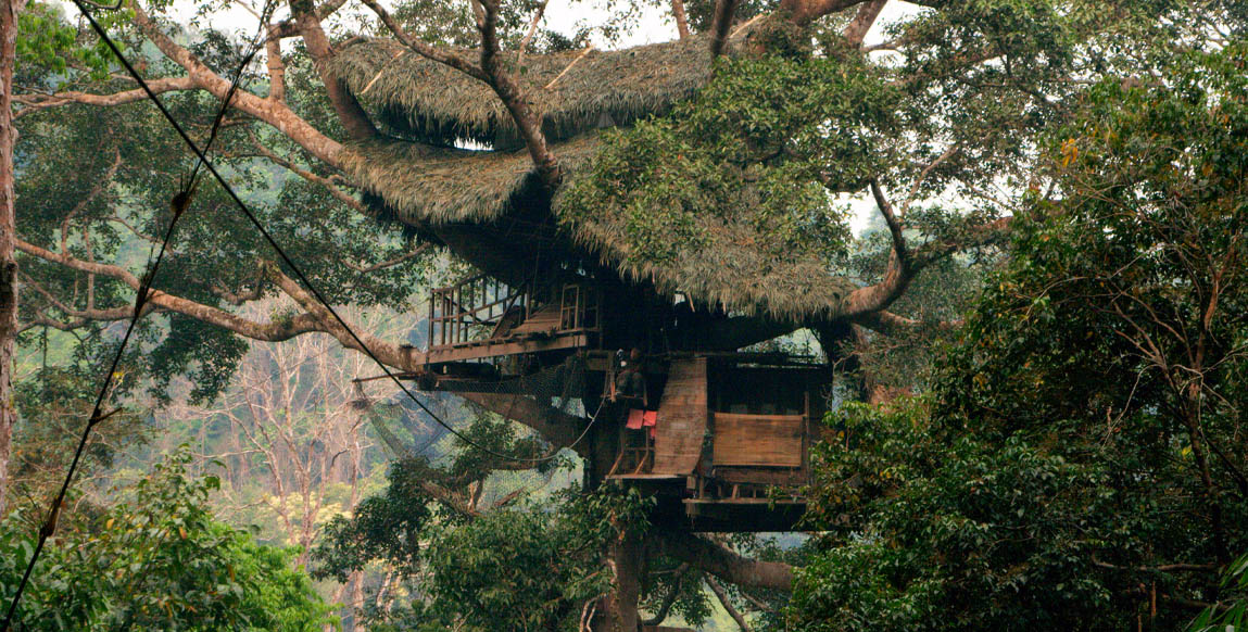 Voyage Laos, La Gibbon Expérience