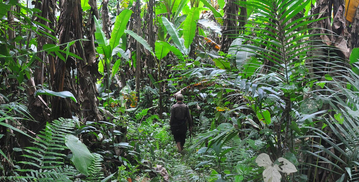 Voyage Laos, Luang Namtha