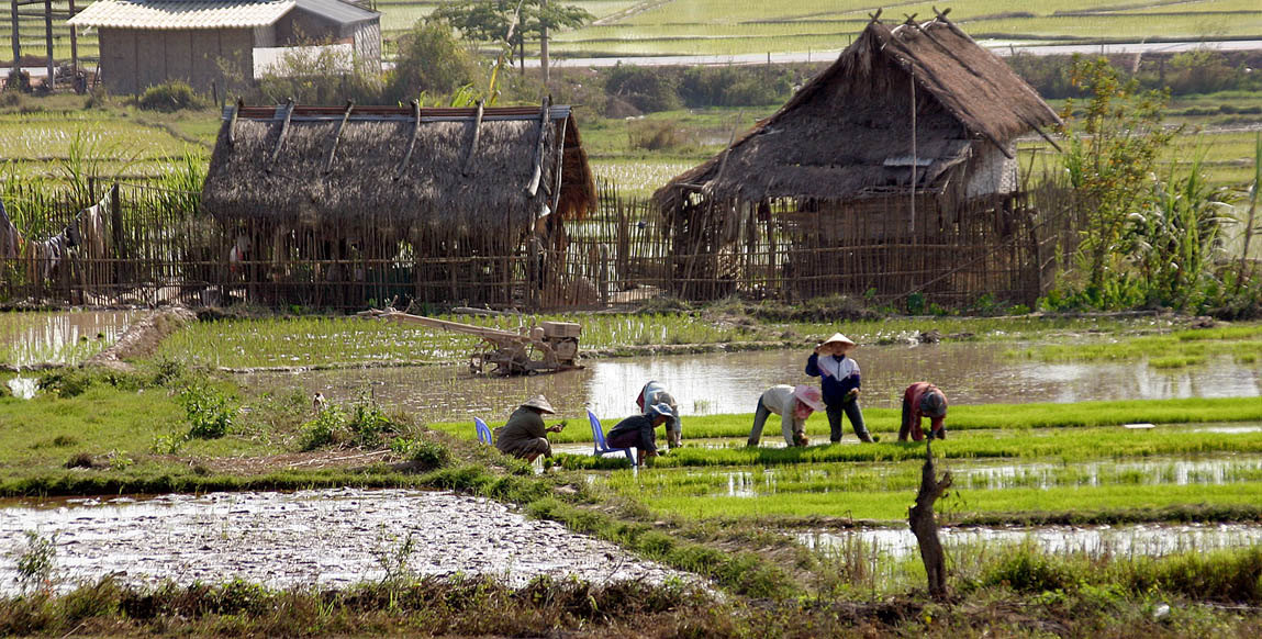 Voyage Laos, Luang Namtha