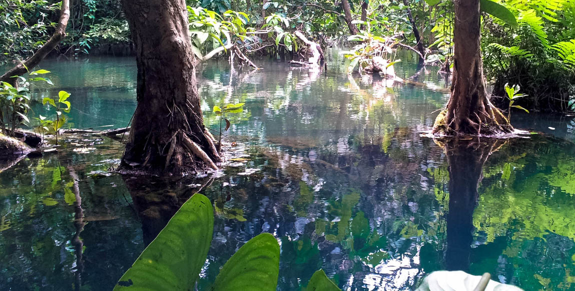 Voyage Laos, Green Jungle Park près de Luang Prabang