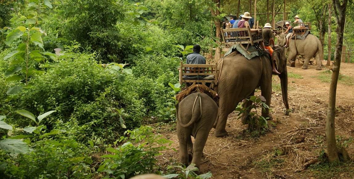 Voyage Laos, Green Jungle Park près de Luang Prabang