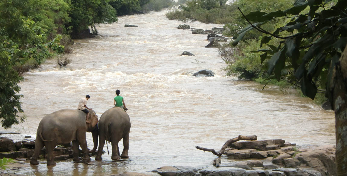 Voyage Laos, Plateau de Bolovens