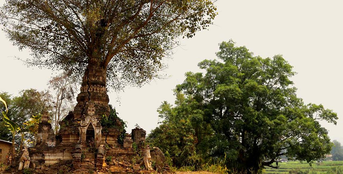 Little Bagan près de Hsipaw