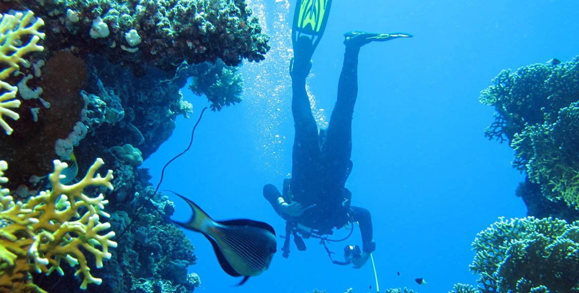 Voyage à Aqaba, plongée