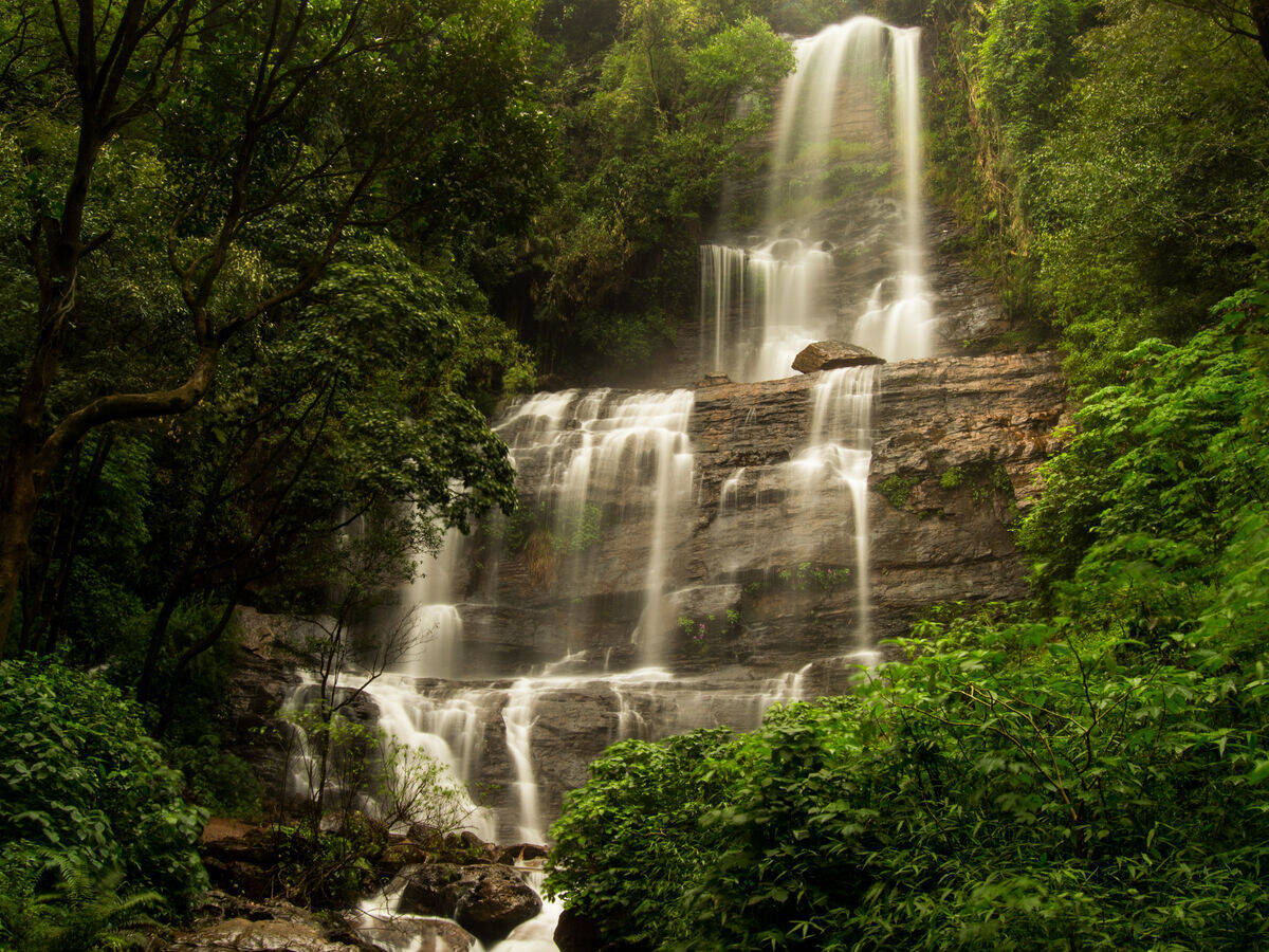 Cascade dans la forêt de Chikmagalur
