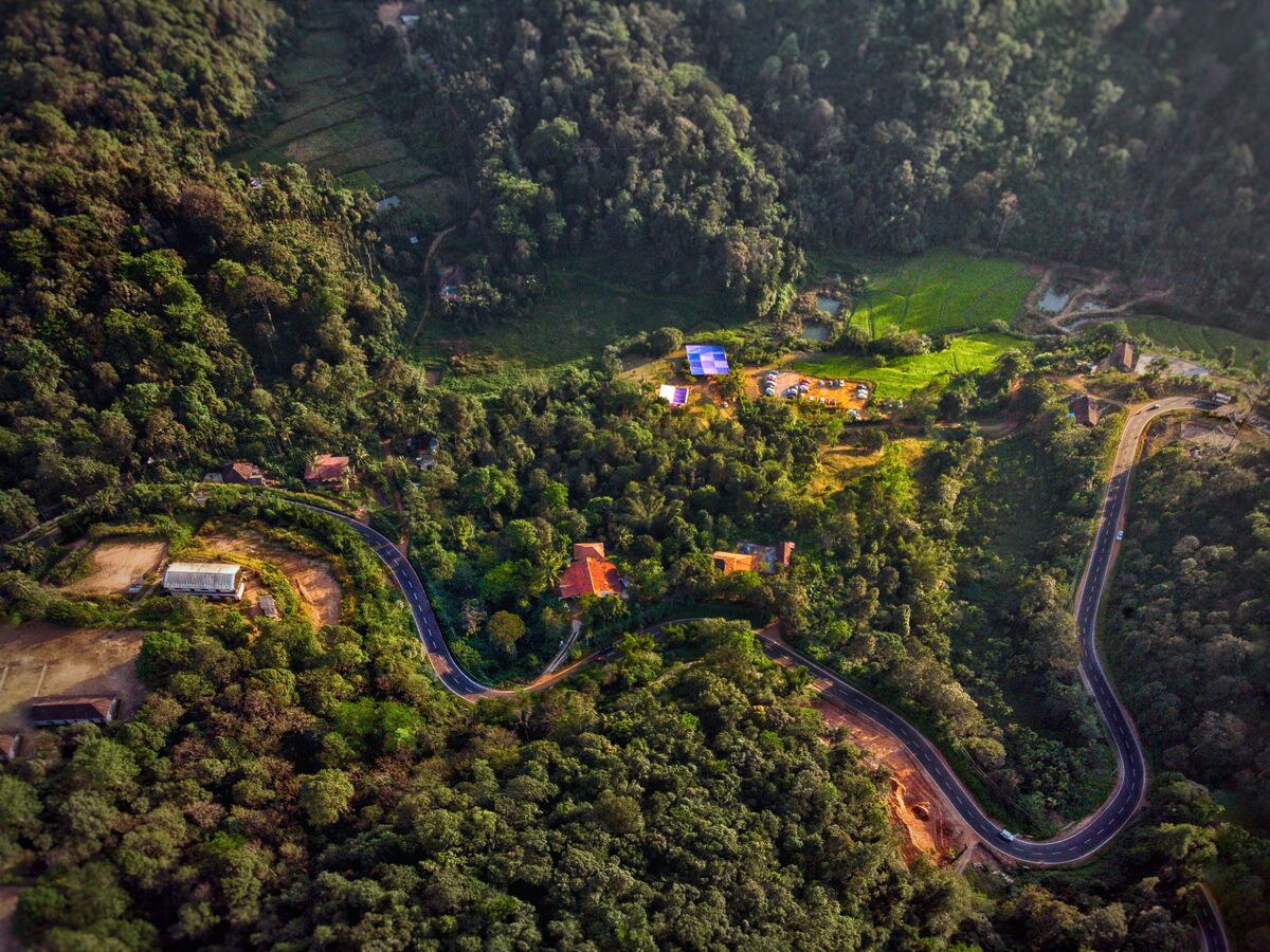 Route à travers les plantations de Coorg