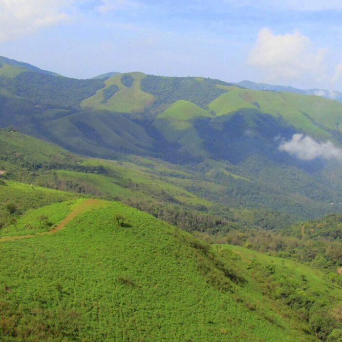 Collines à café de Chikmagalur, Karnataka