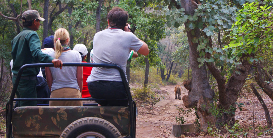 Safari en jeep au Rajasthan