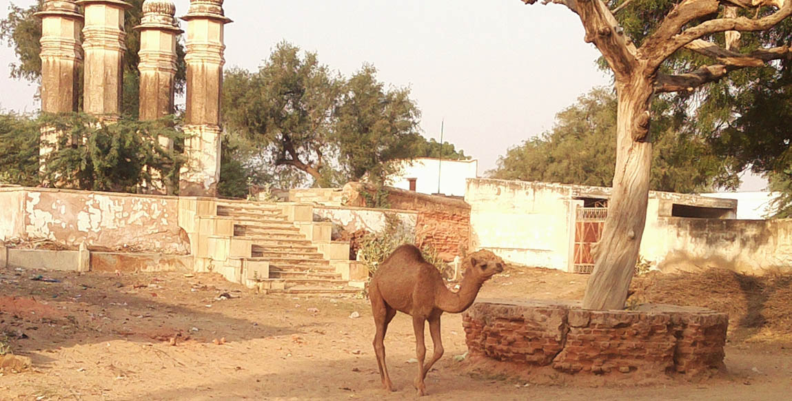 Dans les rues de Churi Ajitgarh