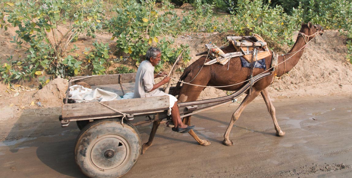 Vie rurale de Fatehpur