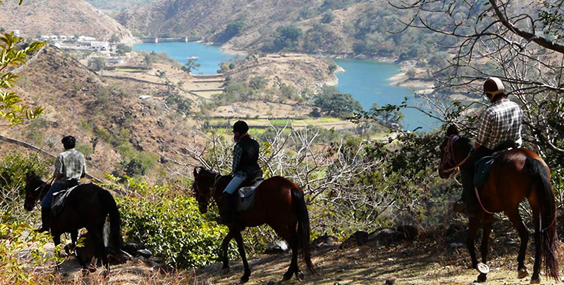 Cheval à Udaipur