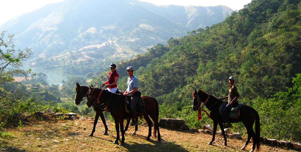 Cheval dans les Aravallis