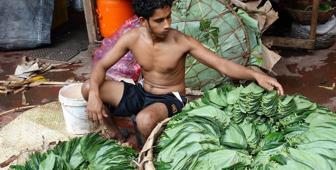 Voyage à Dambulla : jeune homme vendant des feuilles de bétel sur le marché