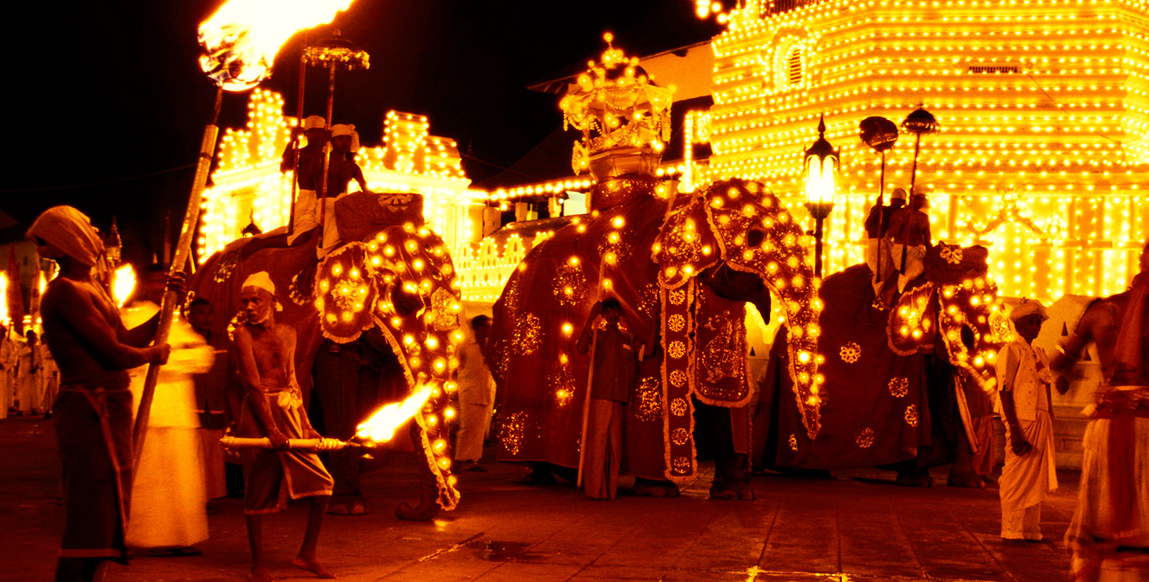 Voyage à Kandy : éléphants et leurs mahouts à la nuit tombée