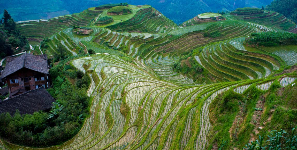 Rizières en terrasses de Longji, Guangxi, Chine