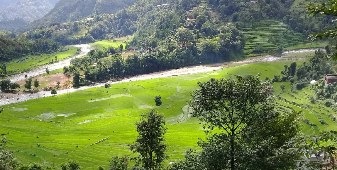 Femme Apatani, vallée de Ziro, Arunachal Pradesh, Inde