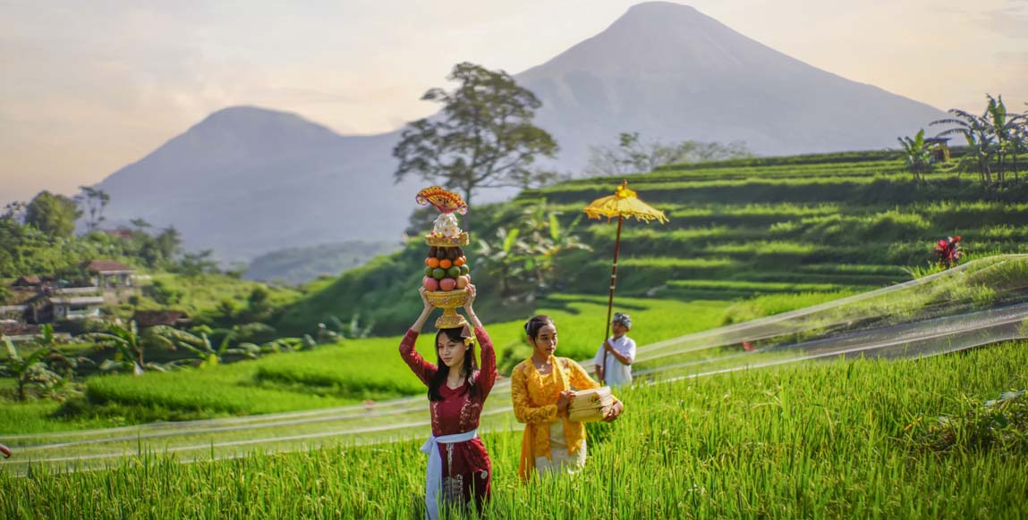 Rizières en terrasses de Jatiluwih, Bali