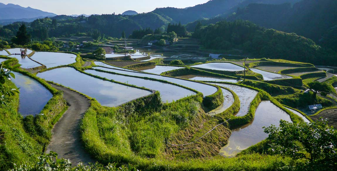 Rizières en terrasses de Hoshitoge, Niigata, Japon