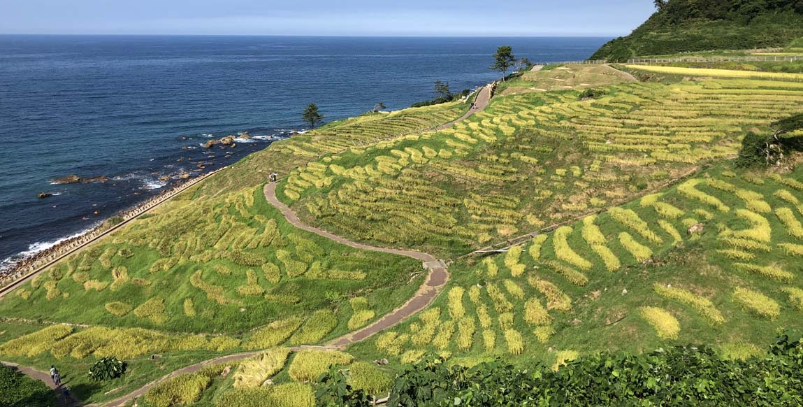 Rizières en terrasses de Shiroyone Senmaida, Noto, Japon