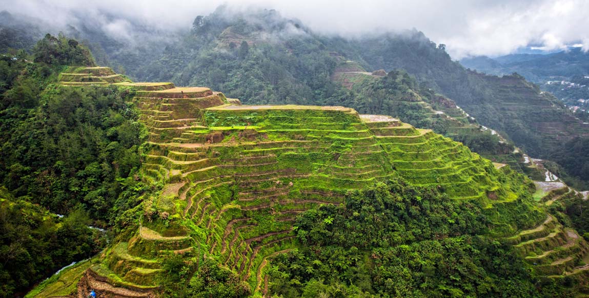 Rizières en terrasses de Banaue, Ifugao, Philippines