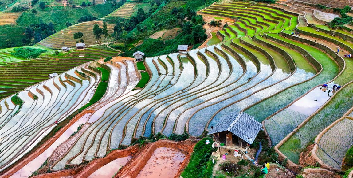 Rizières dorées de Mu Cang Chai, Vietnam