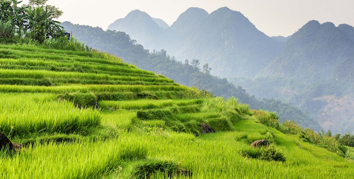 Rizières en terrasses de Pu Luong, Vietnam