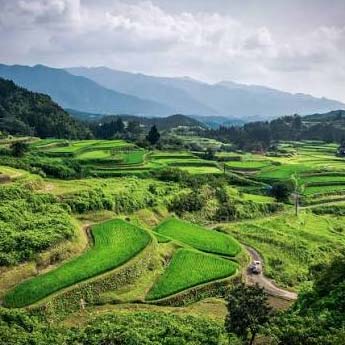 Les plus belles rizières en terrasses du Japon