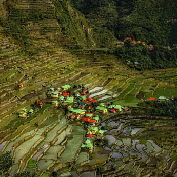 Les plus belles rizières en terrasses des Philippines