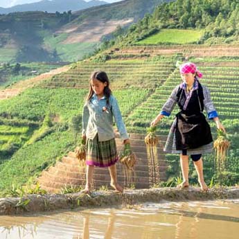 Les plus belles rizières en terrasses du Vietnam