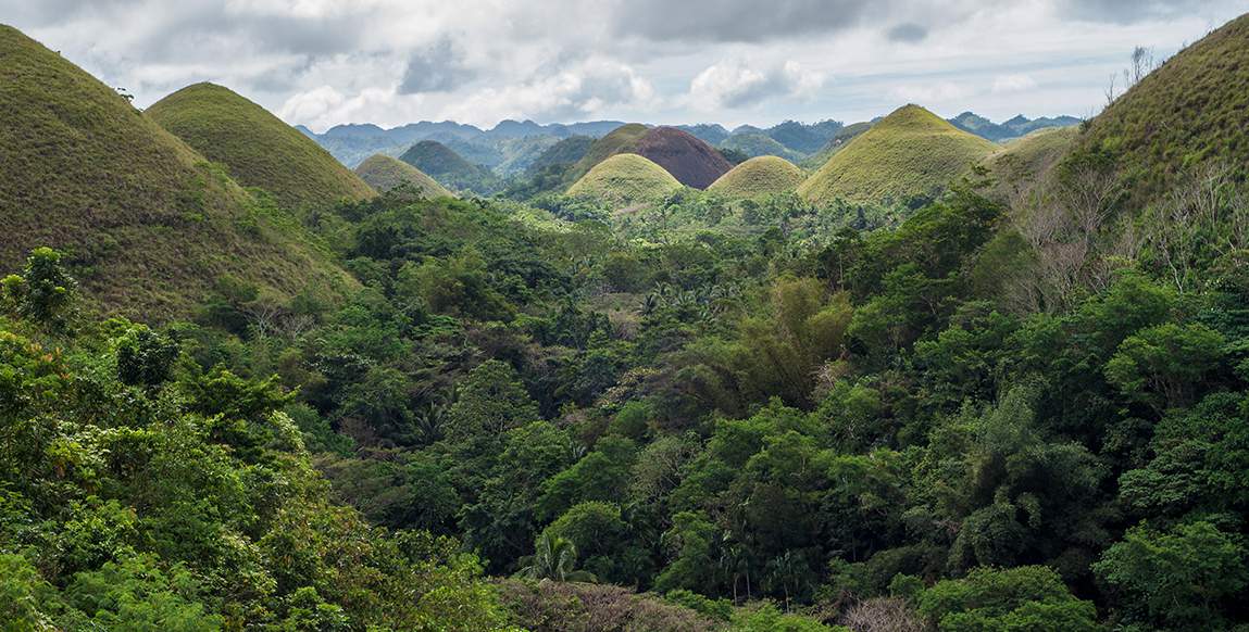 Tarsier des philippines