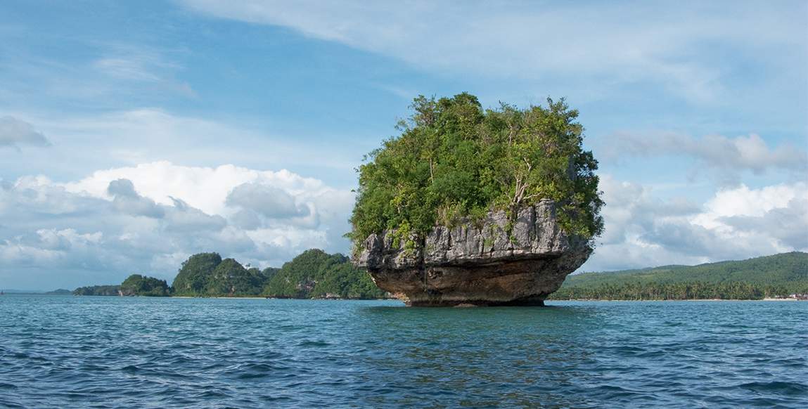 Voyage au Kérala, éléphant à Trichur