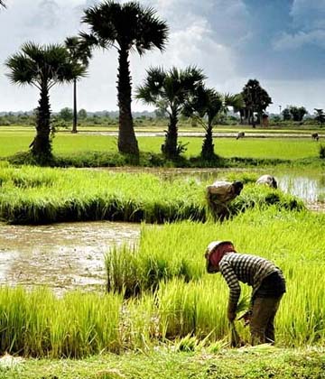 Voyage au Cambodge en lberté