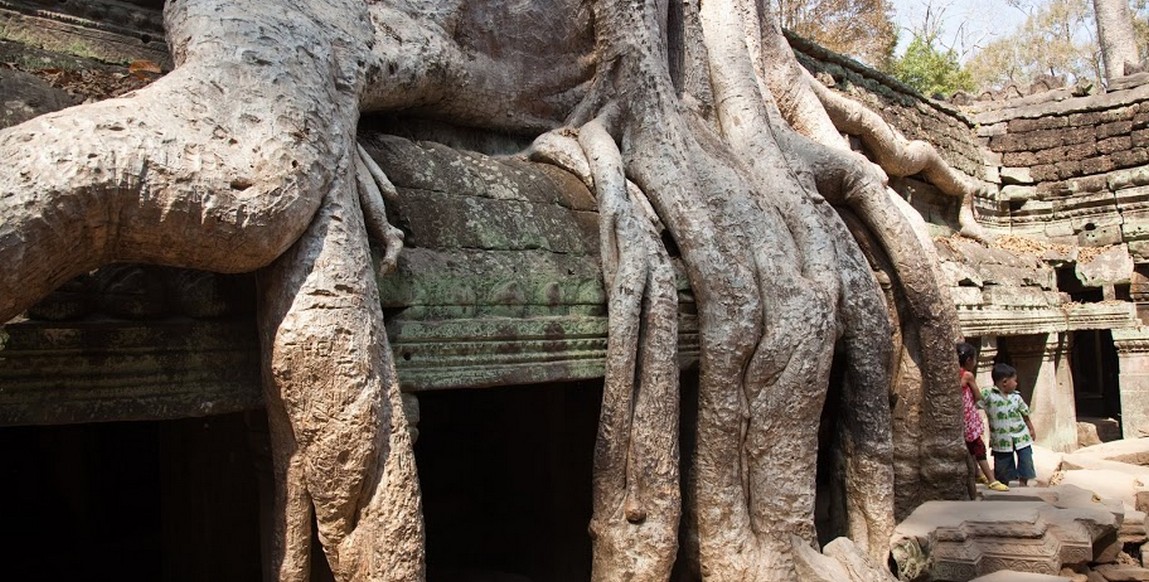 Voyage au Cambodge, escapade à Angkor - Ta Phrom