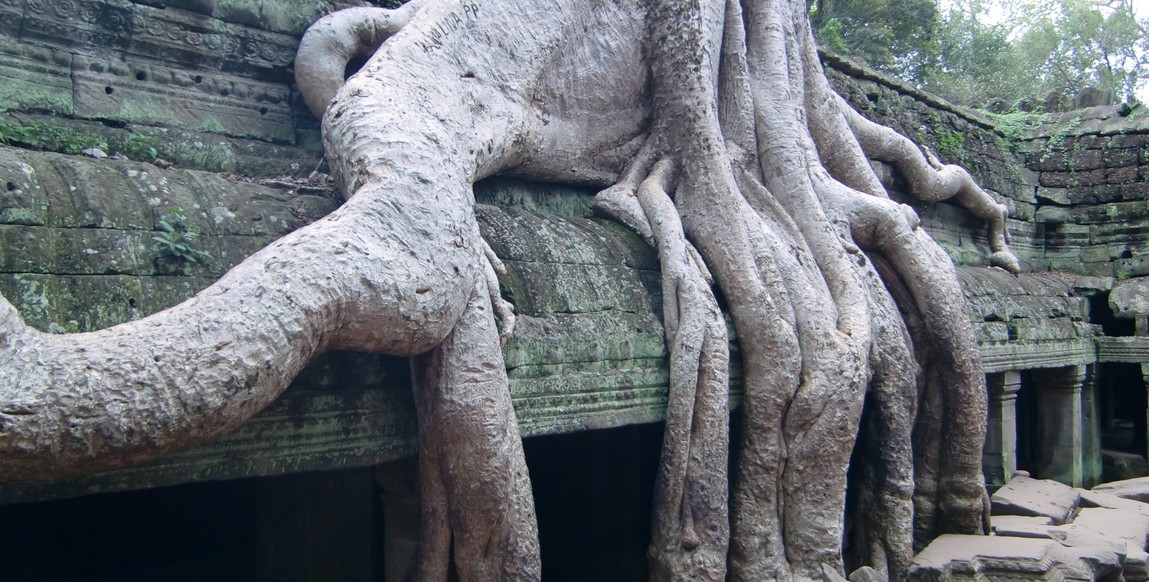 voyage Laos et Cambodge - Angkor Ta Prohm